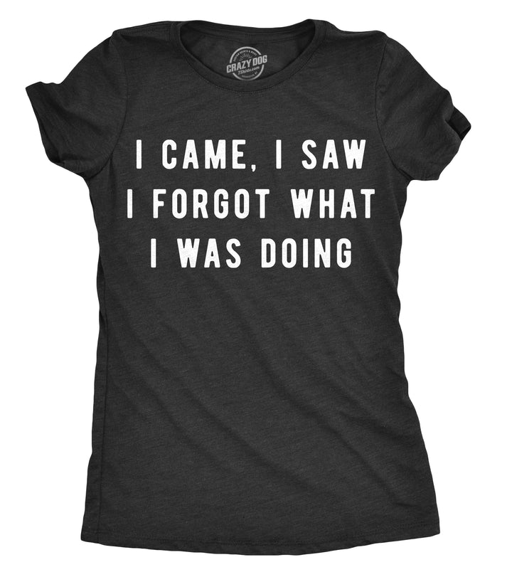 Funny Heather Black - I Came I Came, I Saw I Forgot What I Was Doing Womens T Shirt Nerdy Sarcastic Tee