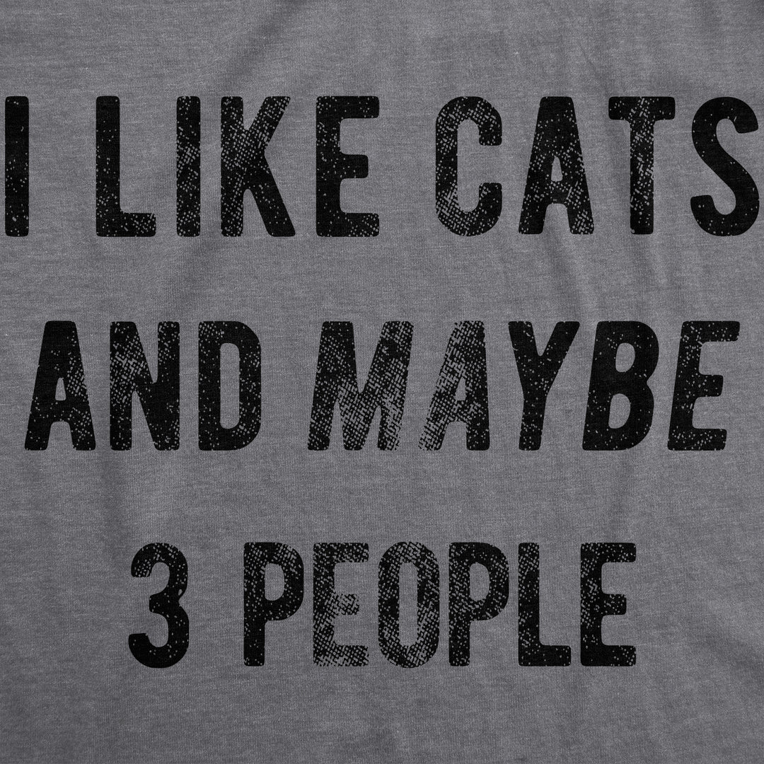 I Like Cats And Maybe 3 People Women's T Shirt