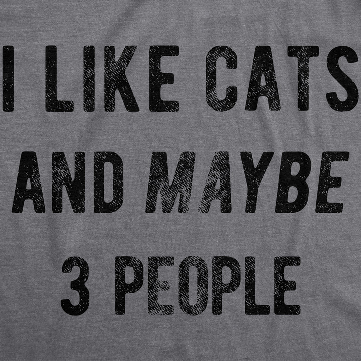 I Like Cats And Maybe 3 People Women's T Shirt