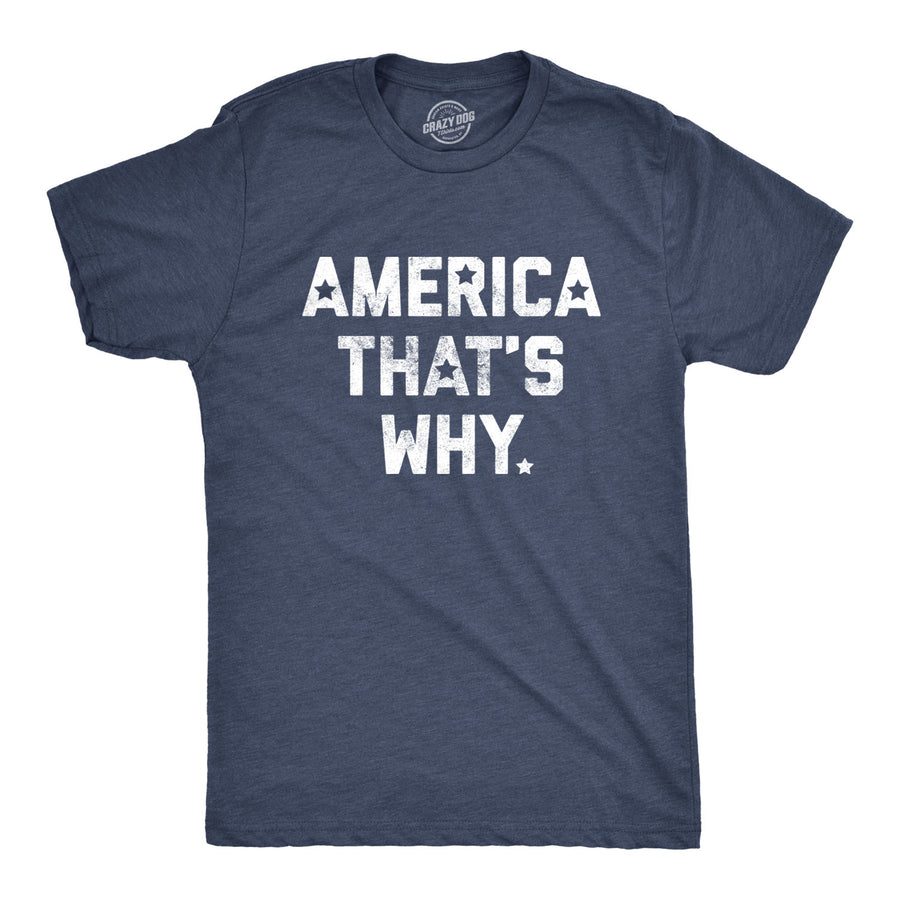 Funny Heather Navy America That's Why Mens T Shirt Nerdy Fourth of July Political Tee