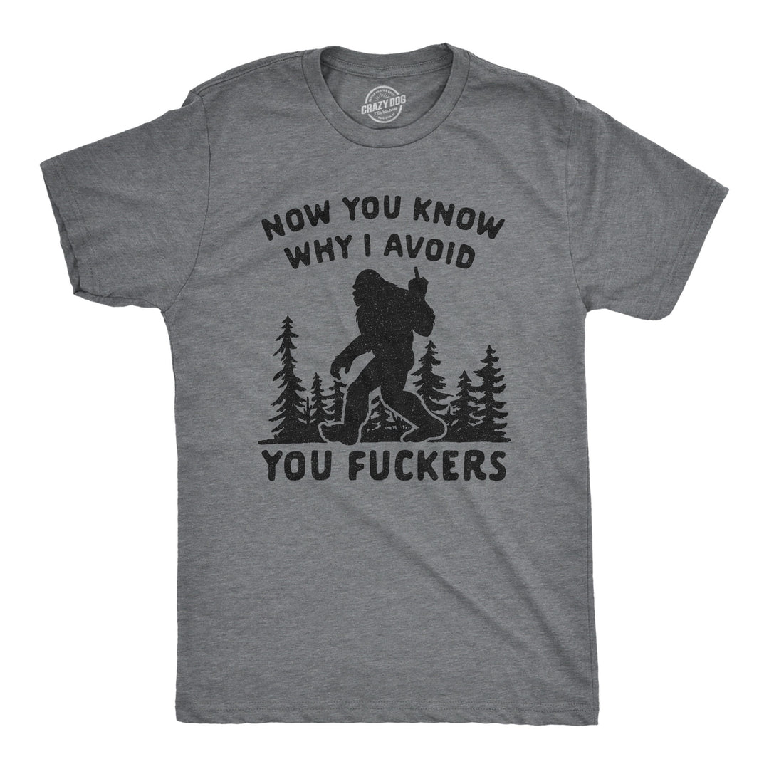 Funny Dark Heather Grey Now You Know Why I Avoid You Fuckers Mens T Shirt Nerdy Introvert Tee