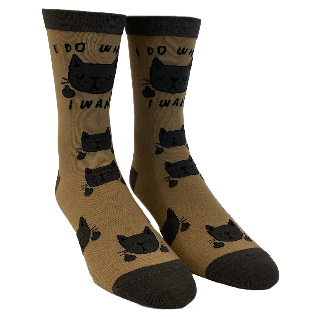 Womens I Do What I Want Cats Socks