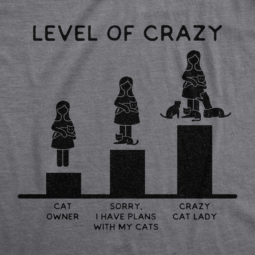 Level Of Crazy: Crazy Cat Lady Women's T Shirt