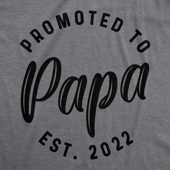 Promoted To Papa 2022 Men's T Shirt