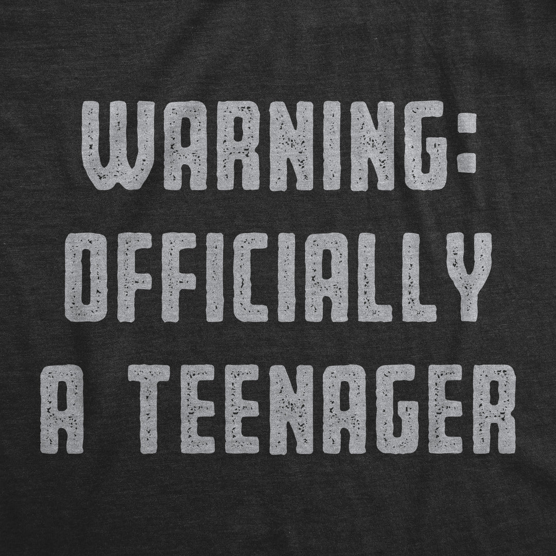 Warning: Offically A Teenager Women's T Shirt