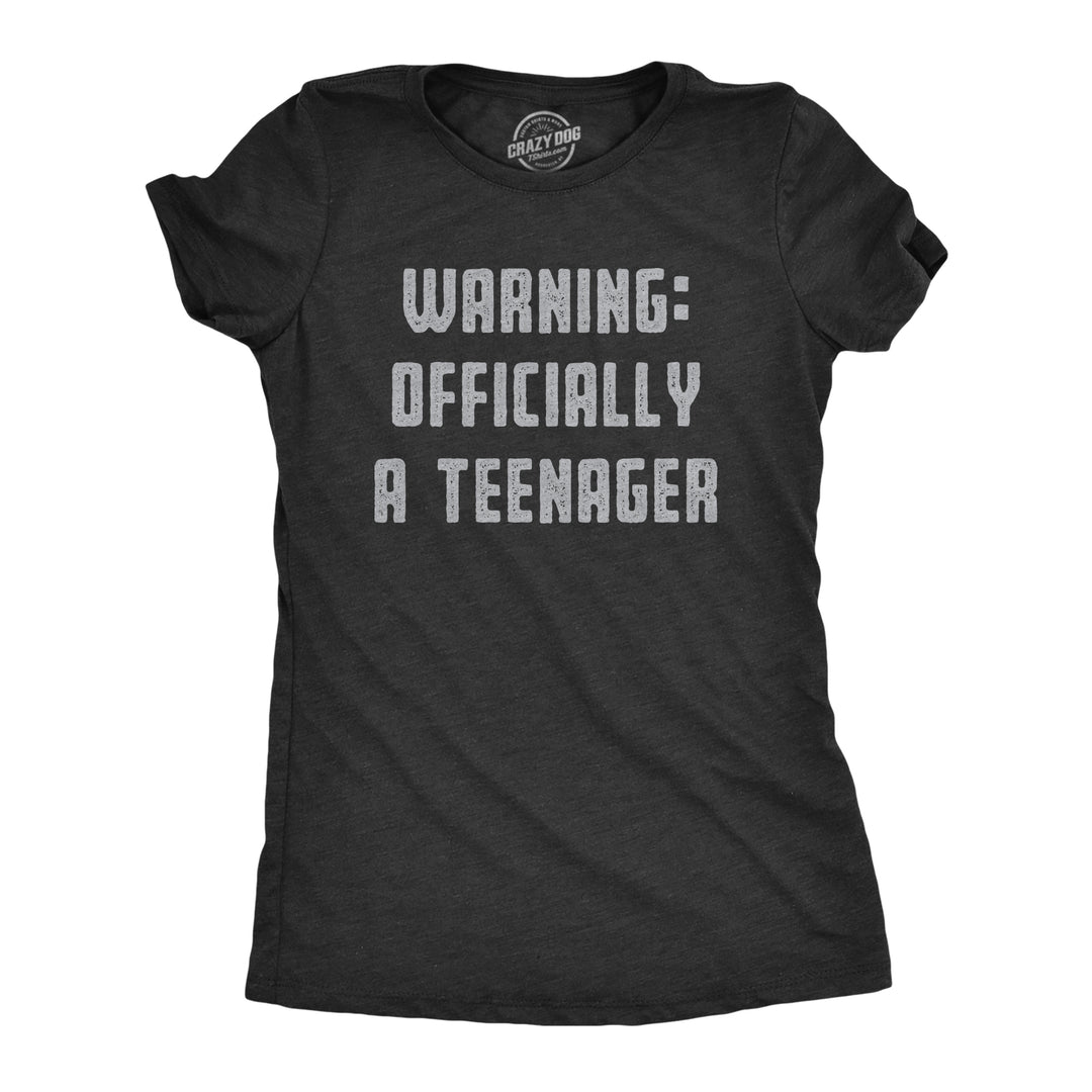 Funny Heather Black Warning: Offically A Teenager Womens T Shirt Nerdy Birthday Tee