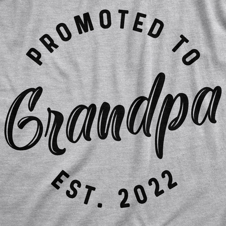 Promoted To Grandpa 2022 and 2023 Hoodie