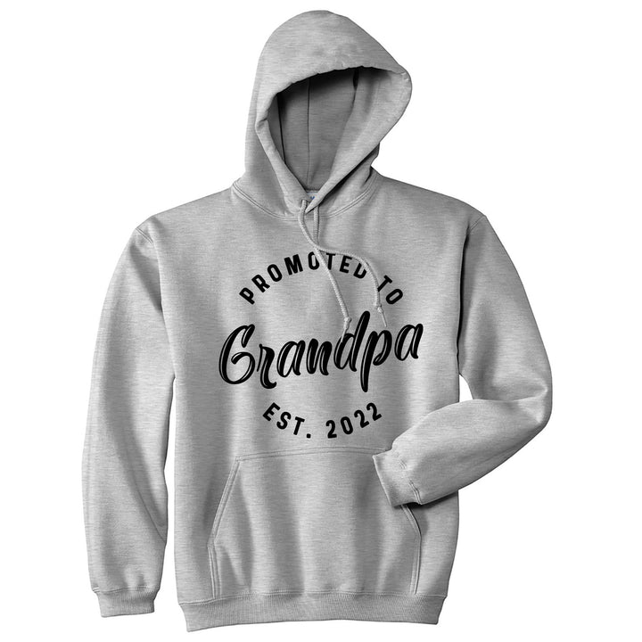 Funny Grey - GRANDPA Promoted To Grandpa 2022 and 2023 Hoodie Nerdy Grandfather Tee