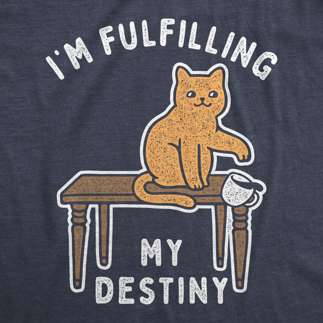 I'm Fulfilling My Destiny Women's T Shirt