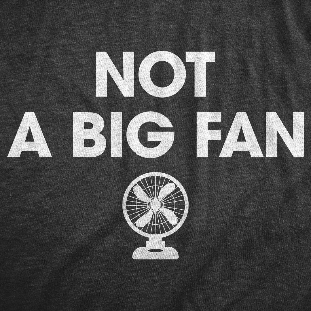 Not A Big Fan Women's T Shirt