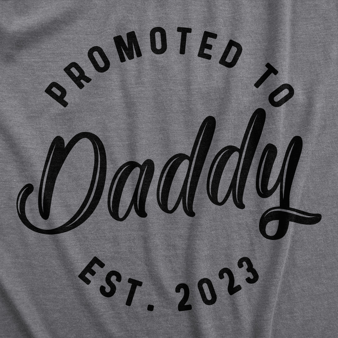 Promoted To Daddy 2022 Hoodie