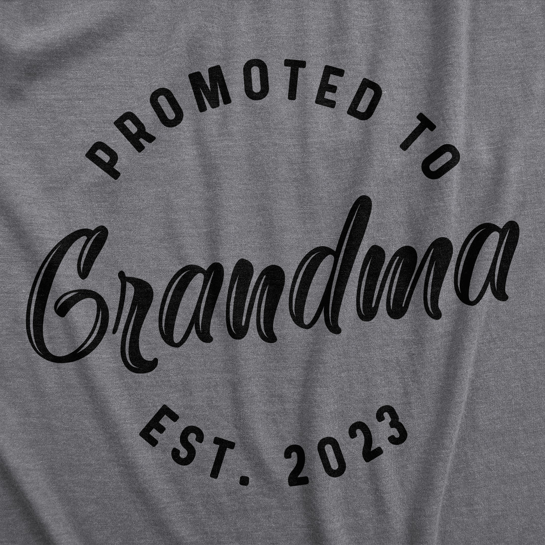 Promoted To Grandma 20XX Women's T Shirt