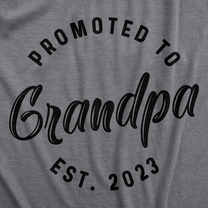 Promoted To Grandpa 2022 and 2023 Hoodie