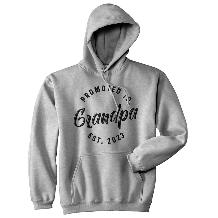 Funny Grey - 2023 Promoted To Grandpa 2022 and 2023 Hoodie Nerdy Father's Day Grandfather Tee