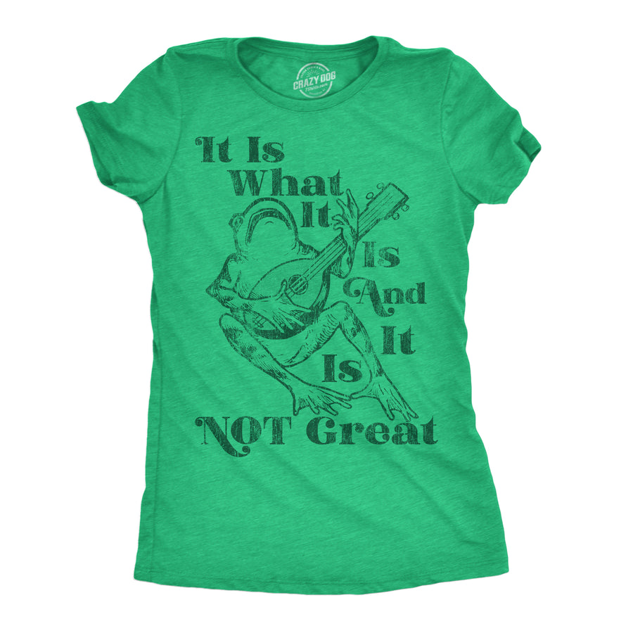 Funny Heather Green - Not Great It Is What It Is And It Is Not Great Womens T Shirt Nerdy sarcastic Tee