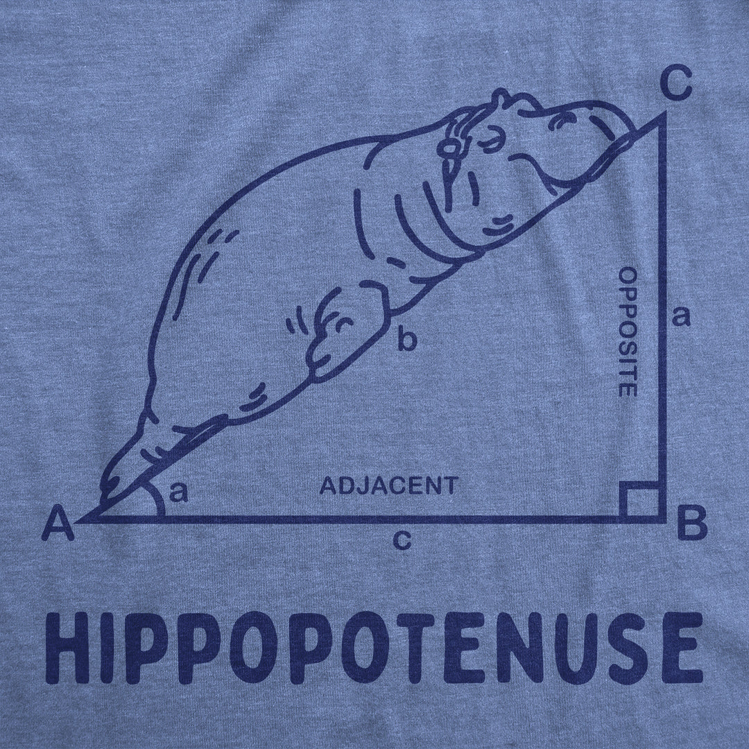 Hippopotenuse Women's T Shirt