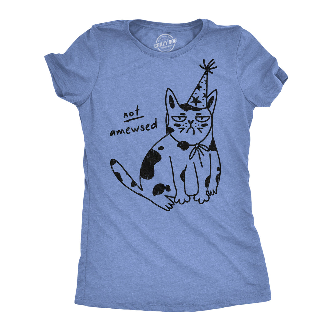 Funny Light Heather Blue - Not Amewsed Not Amewsed Womens T Shirt Nerdy Cat sarcastic Tee