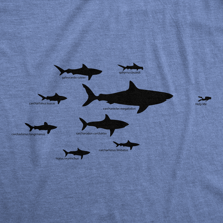 Shark Hierarchy Women's T Shirt