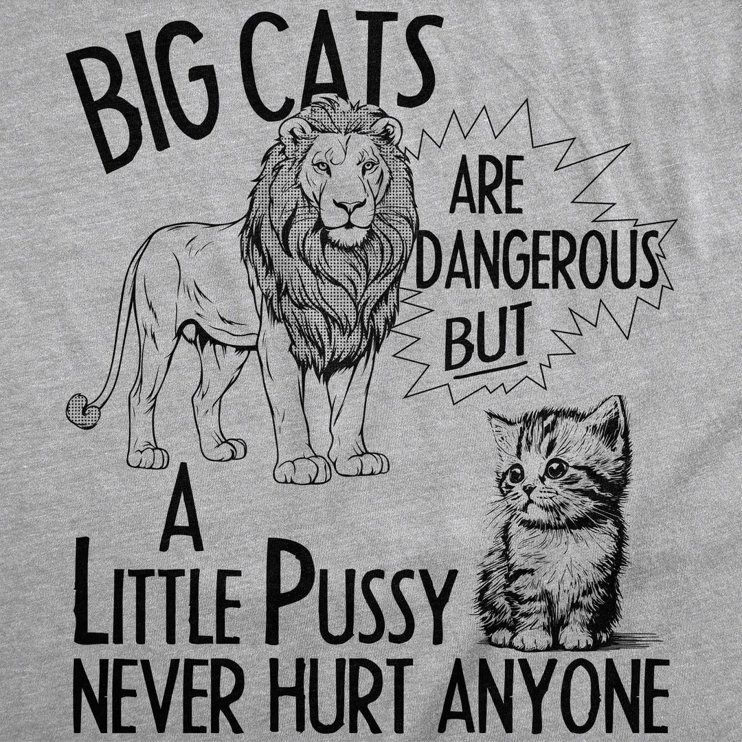 Big Cats Are Dangerous But A Little Pussy Never Hurt Anyone Women's T Shirt