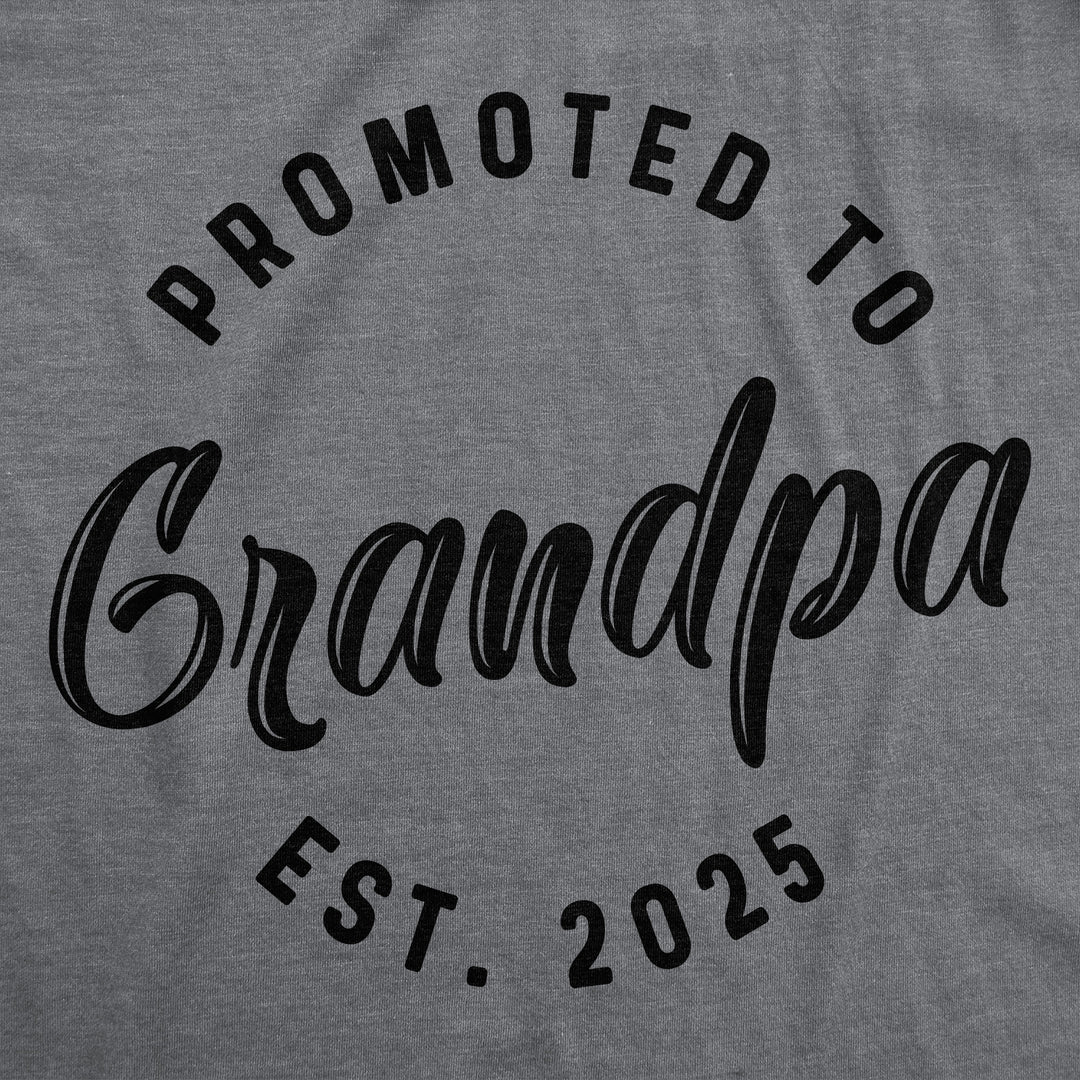 Promoted To Grandpa 2025 Men's T Shirt