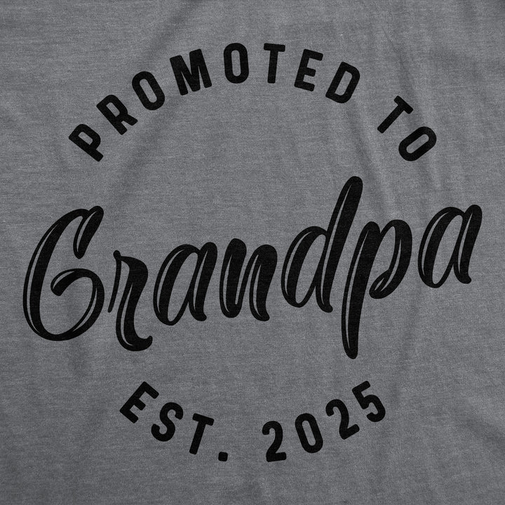 Promoted To Grandpa 2025 Men's T Shirt