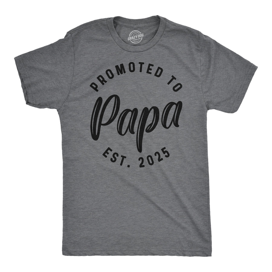 Funny Dark Heather Grey - Promoted Papa 2025 Promoted To Papa 2025 Mens T Shirt Nerdy grandfather sarcastic Tee