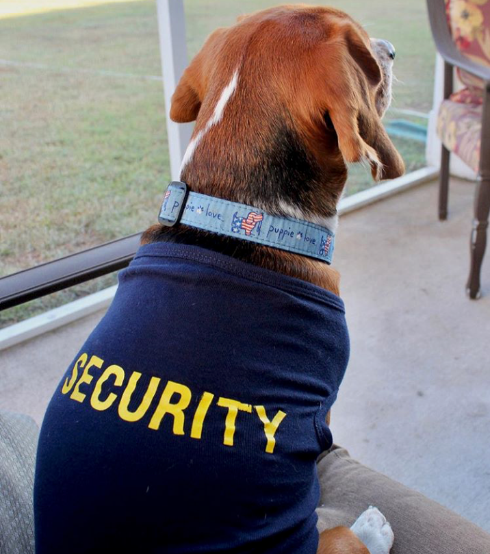 Security Dog Shirt