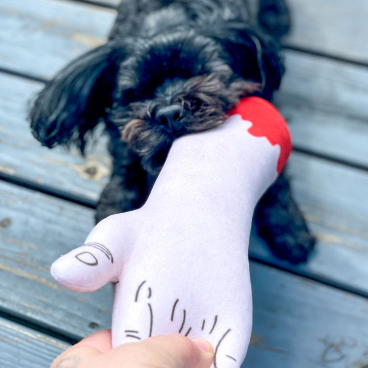 Zombie Arm Dog Toy