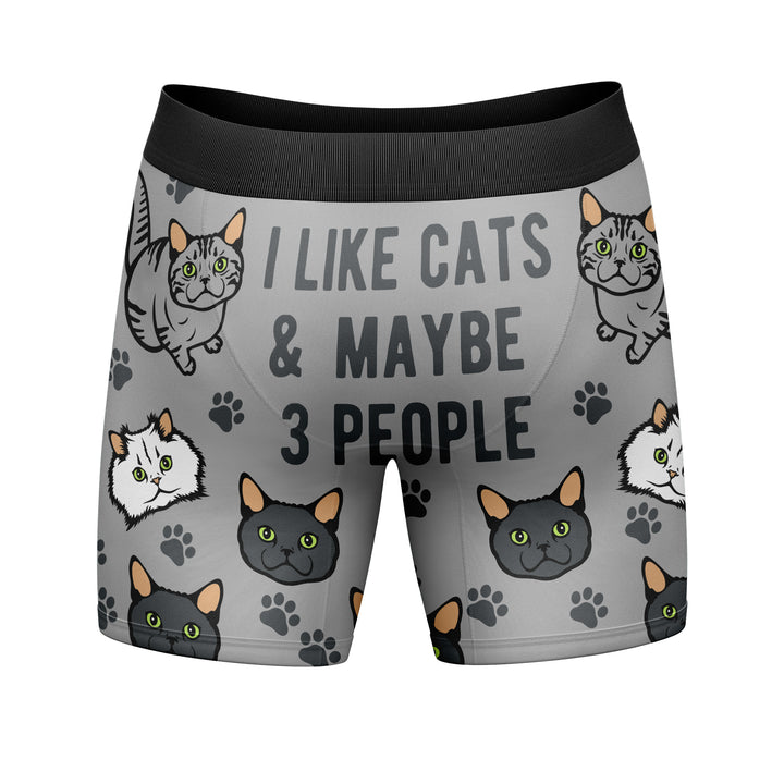 I Like Cats And Maybe 3 People Boxer Briefs