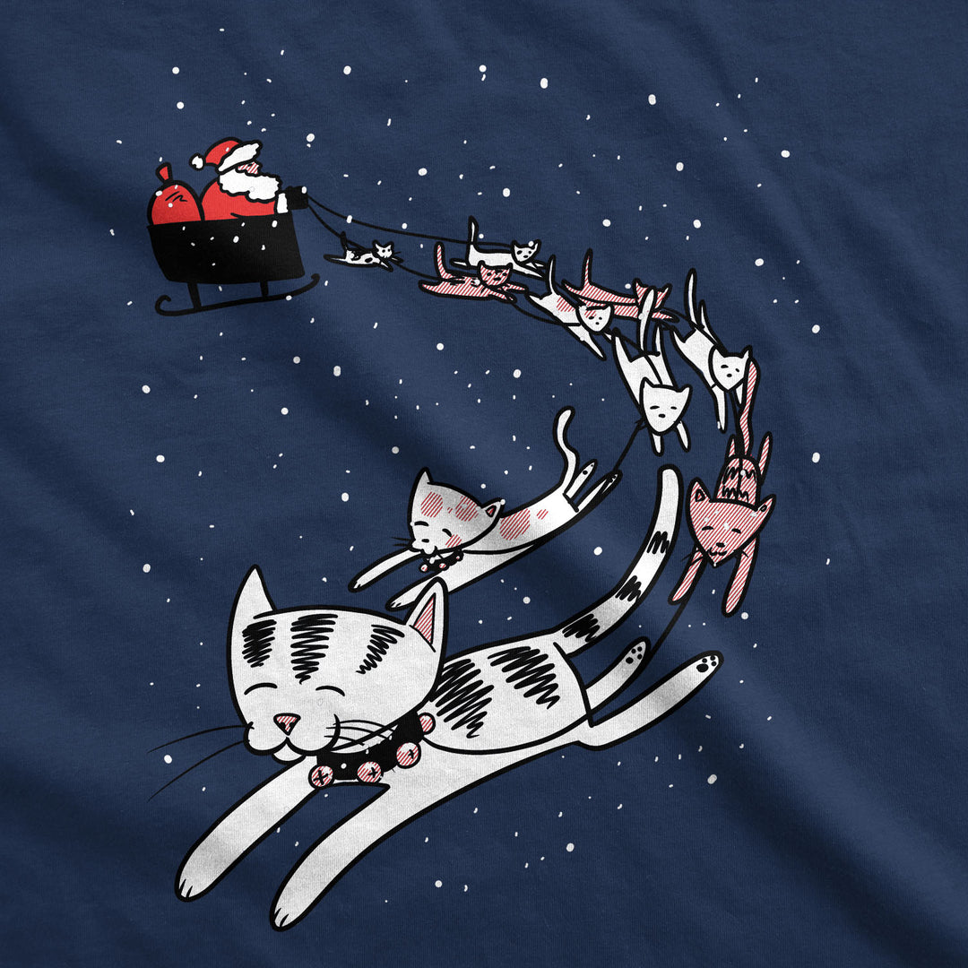 Cats In Christmas Sleigh Women's T Shirt