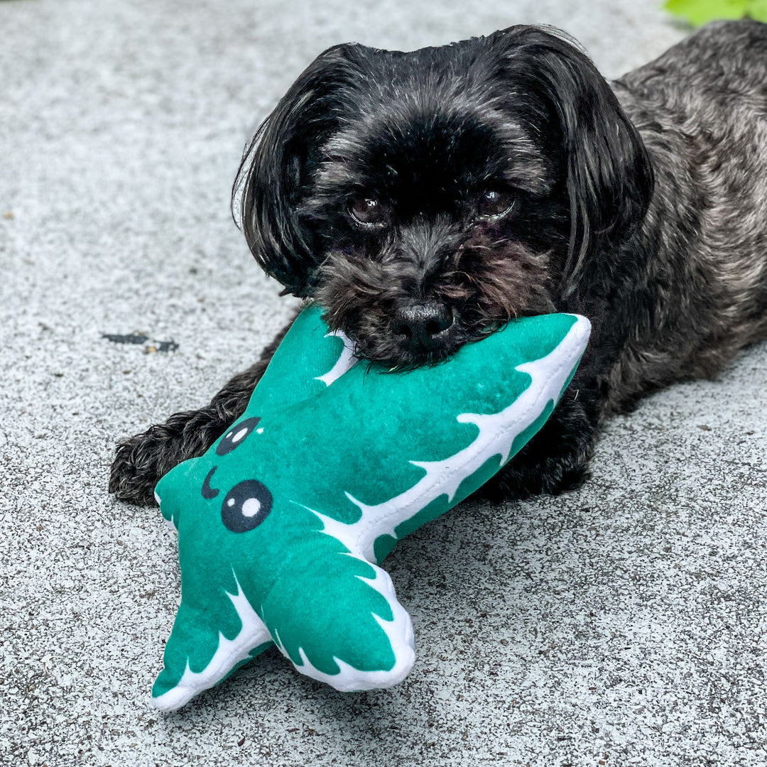 Weed Leaf Dog Toy