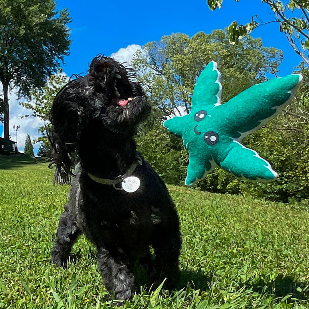 Weed Leaf Dog Toy