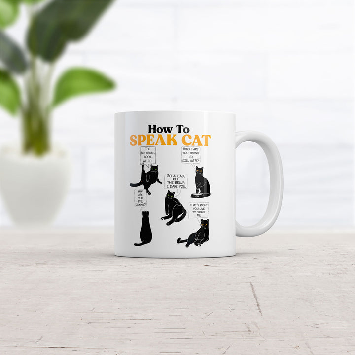 How To Speak Cat Mug