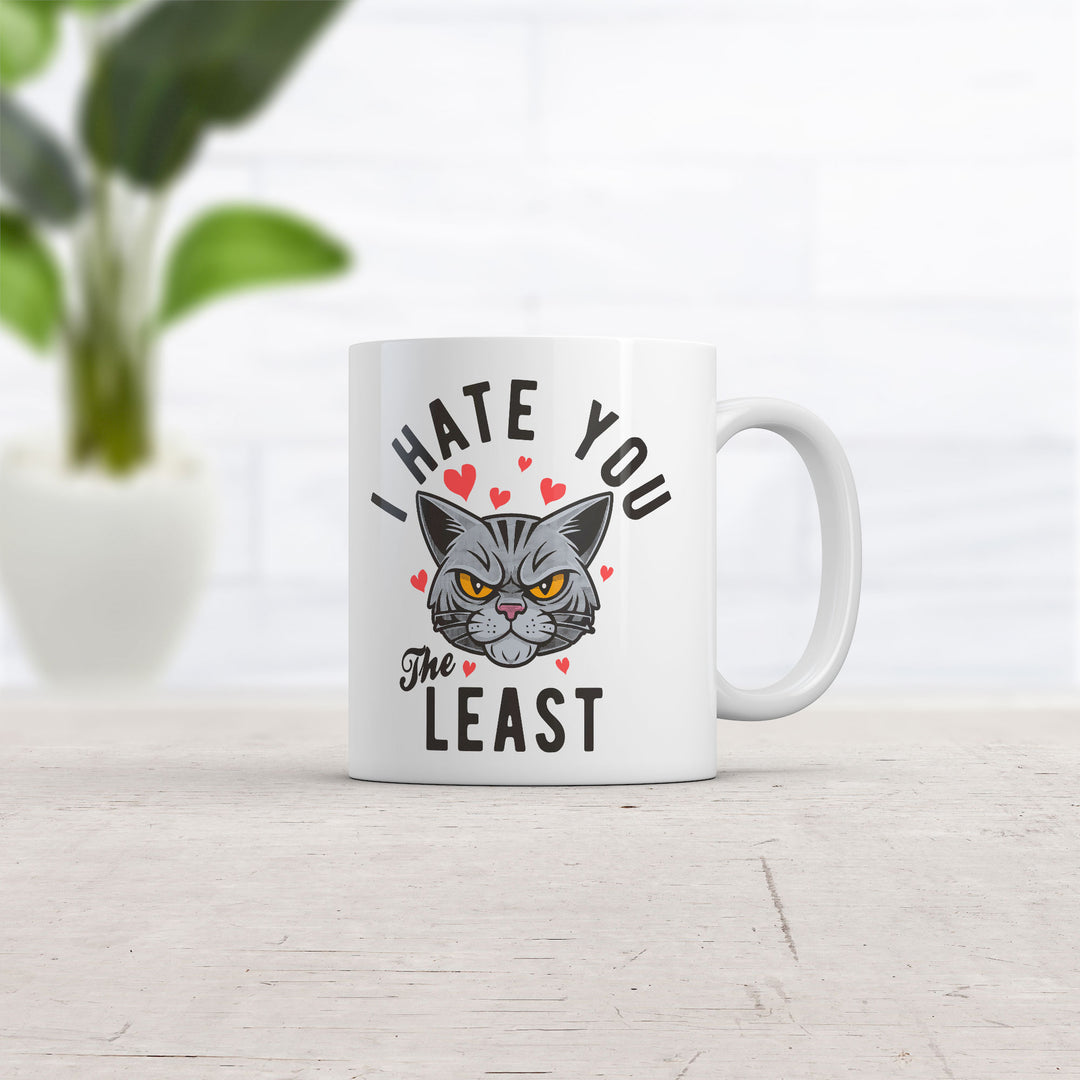 I Hate You The Least Mug