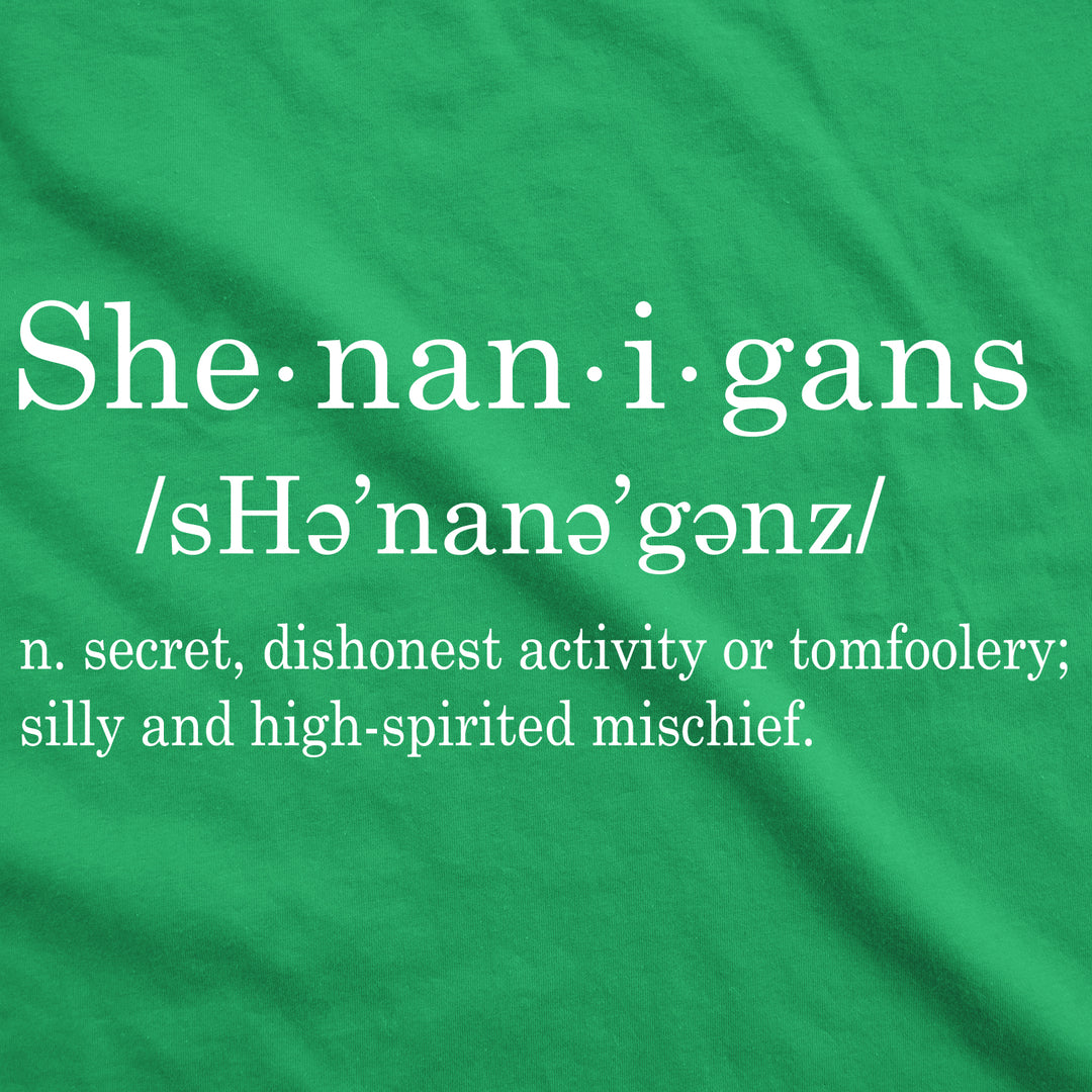 Shenanigans Definition Women's T Shirt