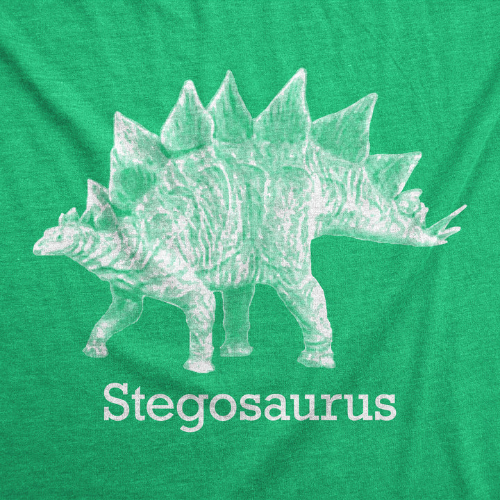 Stegosaurus Men's T Shirt