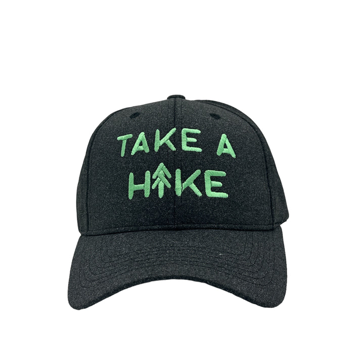 Funny Take A Hike Nerdy sarcastic Tee