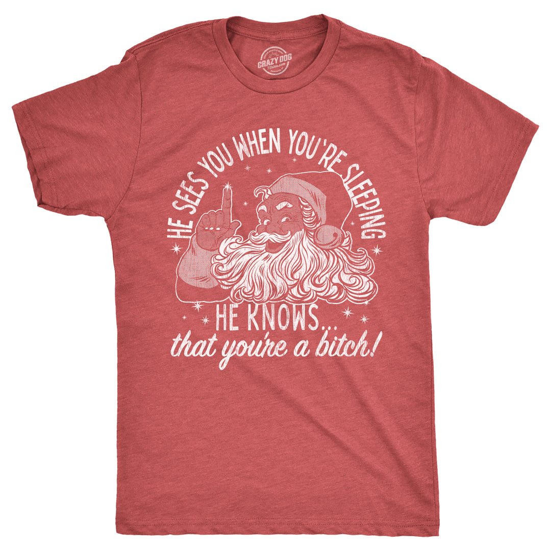 Funny Heather Red - BITCH He Knows That Youre A Bitch Mens T Shirt Nerdy Christmas Sarcastic Tee