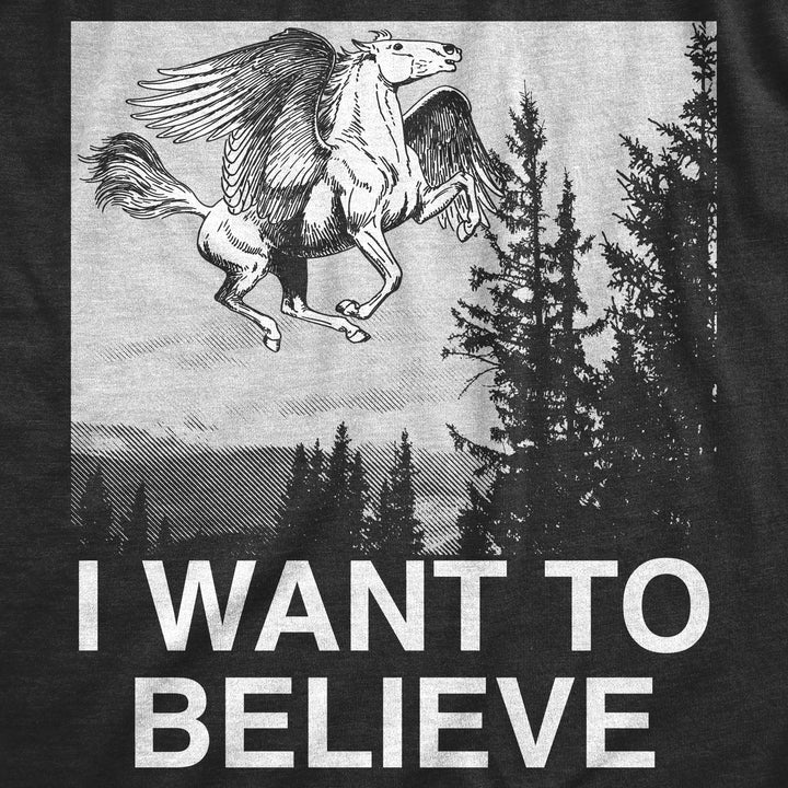 I Want To Believe Pegasus Women's T Shirt