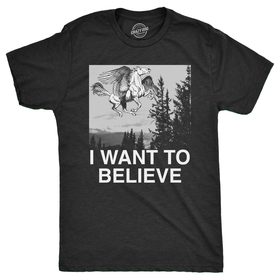 Funny Heather Black - BELIEVE I Want To Believe Pegasus Mens T Shirt Nerdy Sarcastic Animal Tee