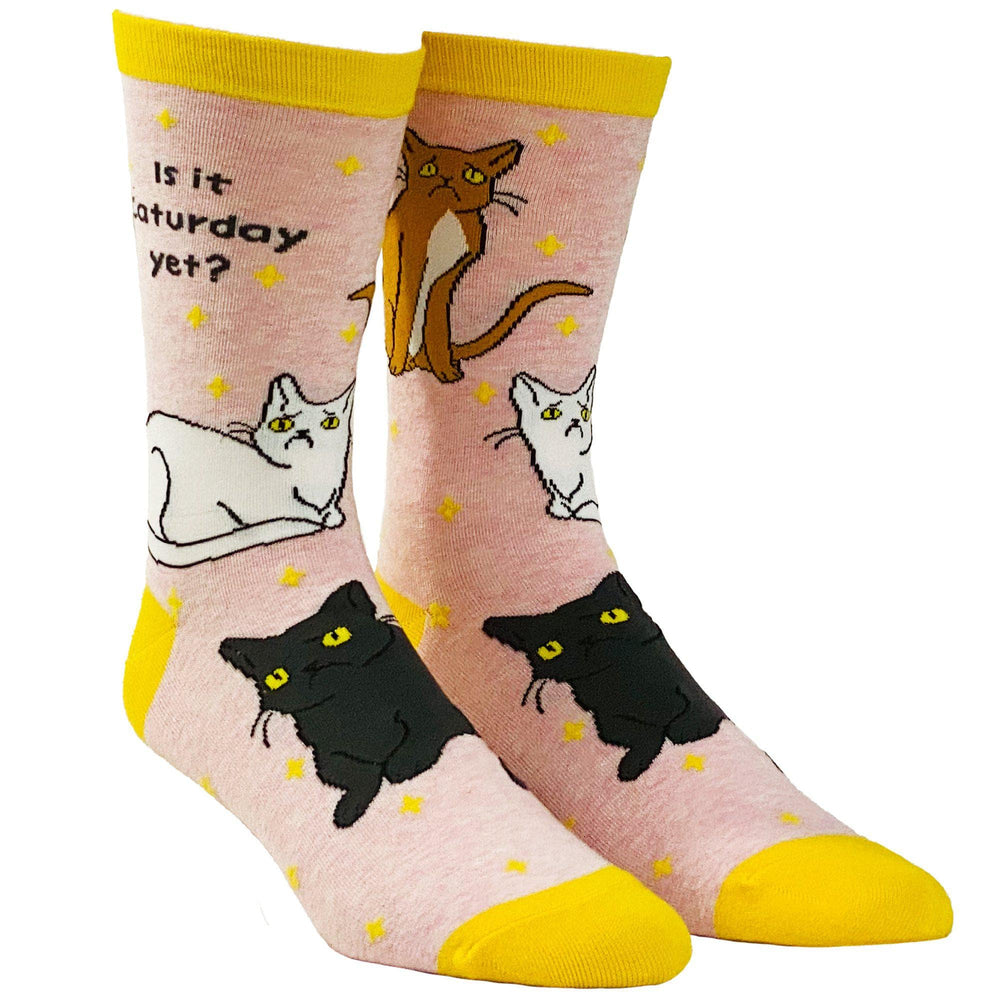 Women's Is It Caturday Yet Socks - Crazy Dog T-Shirts