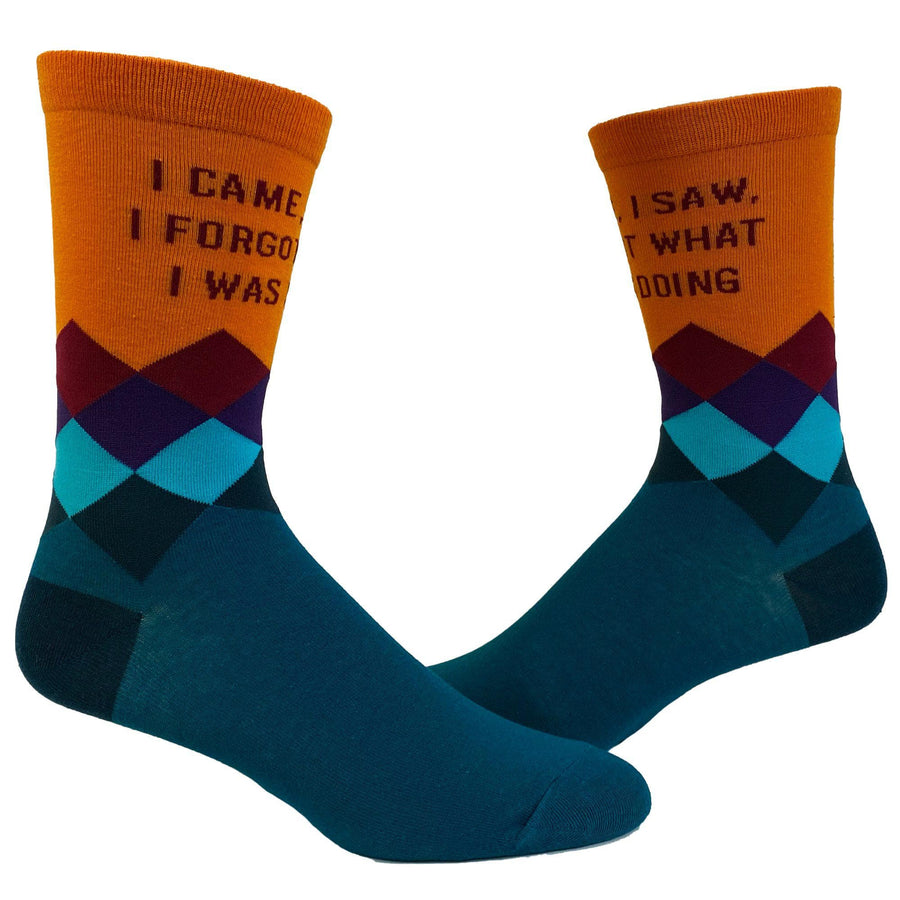 Womens I Came I Saw I Forgot What I Was Doing Socks - Crazy Dog T-Shirts